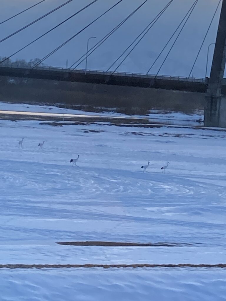 十勝川温泉第一ホテル タンチョウのイメージ
