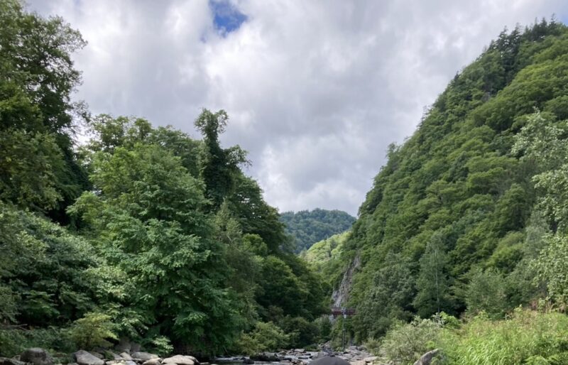 旅行、旅の中自然のイメージ