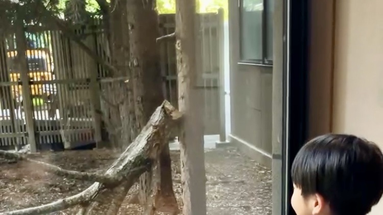 鶴雅リゾート網走エゾリスの見える館内窓のイメージ